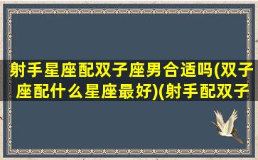 射手星座配双子座男合适吗(双子座配什么星座最好)(射手配双子 一生都笑死)